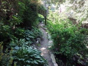 Here the path is reminiscent of a small creek ambling through the woods